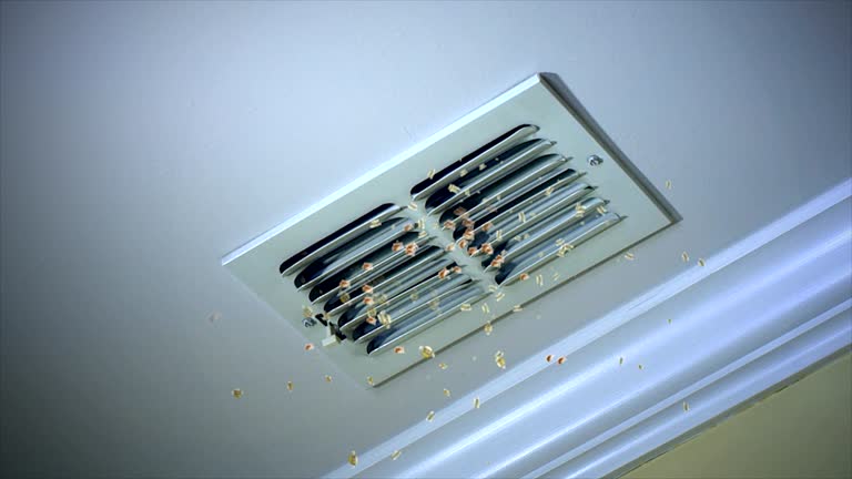 Best Duct Cleaning for Homes  in Hartford, MI